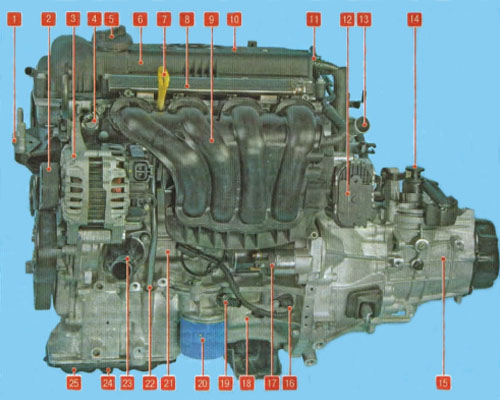 Двигатель КИА Рио Х Лайн 1.4 – характеристики, устройство, ресурс